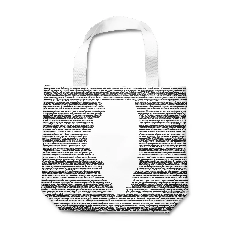 Illinois's Constitution